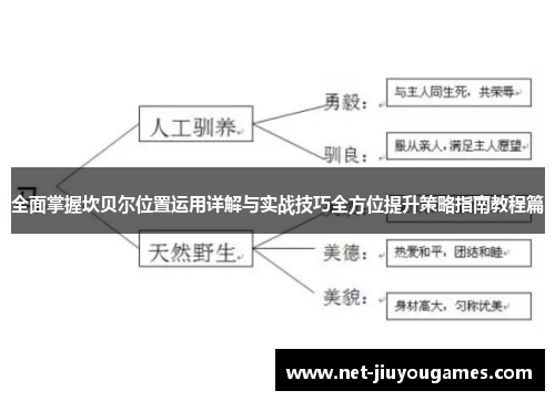 全面掌握坎贝尔位置运用详解与实战技巧全方位提升策略指南教程篇